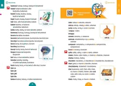 Galeria - zdjęcie nr. 2 - Słowniczek Ortograficzny dla klas 1-3 szkoła podstawowa