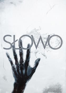 Słowo. Ilustrowane wydanie Nowego Testamentu - Hillsong