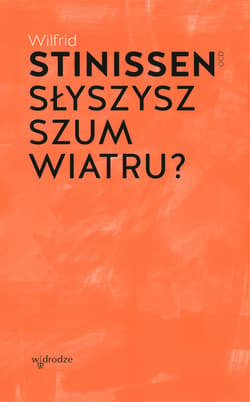 Słyszysz szum wiatru? - ebook - Wilfrid Stinissen