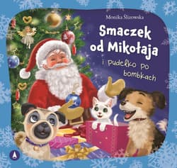 Smaczek od Mikołaja i pudełko po bombkach