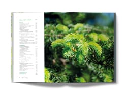 Galeria - zdjęcie nr. 5 - Smakowite drzewa