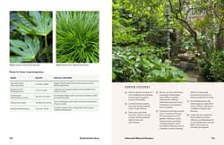 Galeria - zdjęcie nr. 5 - Small Garden Envy