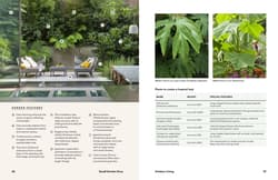 Galeria - zdjęcie nr. 3 - Small Garden Envy