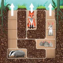 Galeria - zdjęcie nr. 2 - Smart Games Królicza Norka (PL) IUVI Games