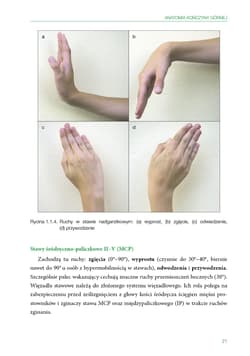 Galeria - zdjęcie nr. 2 - Smart Hand Model Diagnoza i terapia ręki u dzieci