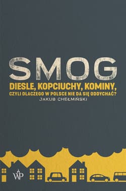 SMOG Diesle, kopciuchy, kominy, czyli dlaczego w Polsce nie da się oddychać? - Jakub Chełmiński