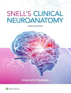 Snell's Clinical Neuroanatomy - Splittgerber Ryan