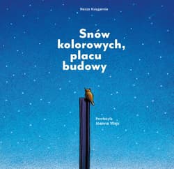 Galeria - zdjęcie nr. 3 - Snów kolorowych, placu budowy