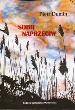 Sobie naprzeciw - Piotr Dumin
