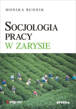 Socjologia pracy w zarysie - Monika Budnik