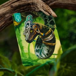 Galeria - zdjęcie nr. 3 - Sojusz na już MUDUKO