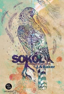 Sokół Opowieść o miłości do ginącej przyrody - Baker John Alec