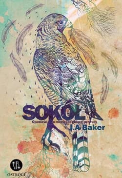Sokół Opowieść o miłości do ginącej przyrody - Baker John Alec