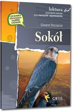 Sokół wydanie z opracowaniem i streszczeniem