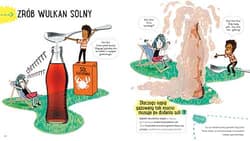 Galeria - zdjęcie nr. 3 - Sól Akademia mądrego dziecka Przygody z nauką