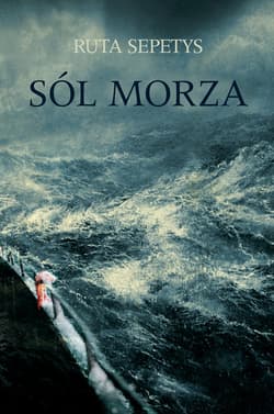 Sól morza - ebook