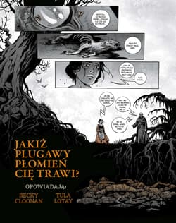 Galeria - zdjęcie nr. 3 - Somna