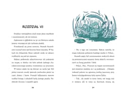 Galeria - zdjęcie nr. 2 - SOS. Stowarzyszenie Obrońców Smoków
