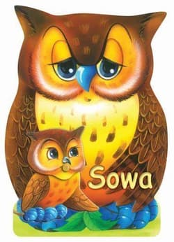 Sowa - Rafał Wejner