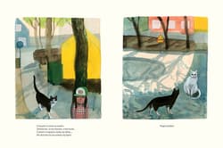 Galeria - zdjęcie nr. 2 - Spacer z kotem