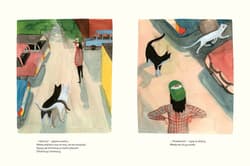 Galeria - zdjęcie nr. 5 - Spacer z kotem