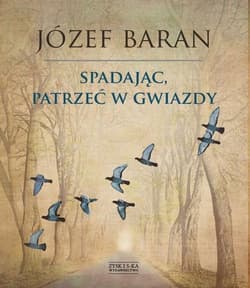 Spadając patrzeć w gwiazdy - Józef Baran