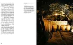 Galeria - zdjęcie nr. 4 - Spilled. Natural Winemakers Stories & Recipes