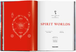 Galeria - zdjęcie nr. 5 - Spirit Worlds. The Library of Esoterica wer. angielska