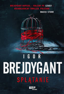 Splątanie - ebook - Igor Brejdygant