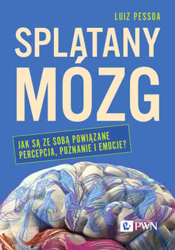 Splątany mózg Jak są ze sobą powiązane percepcja, poznanie i emocje? - Luiz Pessoa