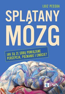 Splątany mózg Jak są ze sobą powiązane percepcja, poznanie i emocje? - Luiz Pessoa