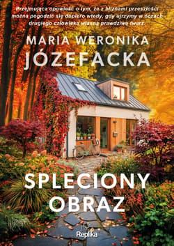 Spleciony obraz. Cienie prawdy, tom 4