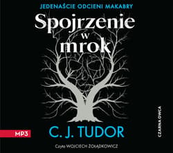 Spojrzenie w mrok - audiobook - C.J.  Tudor
