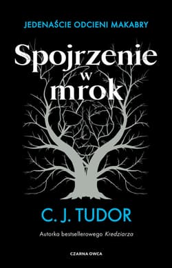 Spojrzenie w mrok - ebook