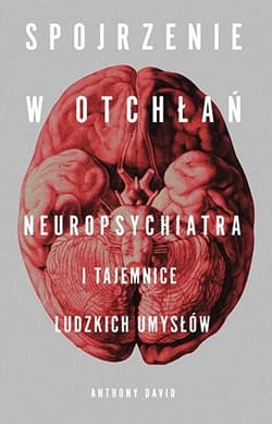 Spojrzenie w otchłań. Neuropsychiatra i tajemnice ludzkich umysłów - Anthony David