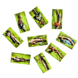 Galeria - zdjęcie nr. 4 - Spór o bór MUDUKO