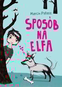 Sposób na Elfa - Marcin Pałasz