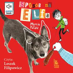 Sposób na Elfa - audiobook - Marcin Pałasz