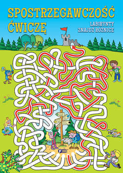 Spostrzegawczość ćwiczę Labirynty znajdź różnice - Opracowanie Zbiorowe