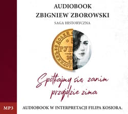 Spotkajmy się, zanim przyjdzie zima - audiobook - Zbigniew Zborowski
