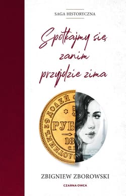 Spotkajmy się, zanim przyjdzie zima - ebook - Zbigniew Zborowski
