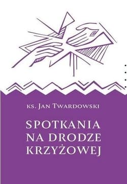 Spotkania na drodze krzyżowej - Jan Twardowski