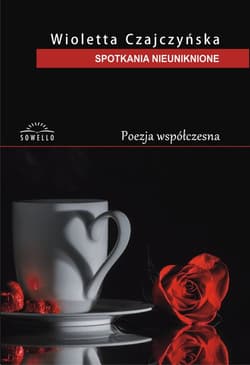 Spotkania nieuniknione - Wioletta Czajczyńska