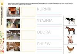 Galeria - zdjęcie nr. 4 - Spotkania z porami roku Lato Materiały dla uczniów z niepełnosprawnością intelektualną