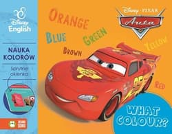 Sprytne okienka! What colour? Disney English