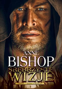 Srebrzyste wizje