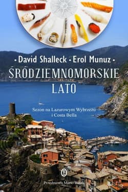 Śródziemnomorskie lato - ebook - David Shalleck