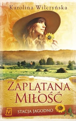 Stacja Jagodno. Tom 1. Zaplątana miłość