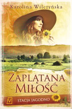 Stacja Jagodno. Tom 1. Zaplątana miłość