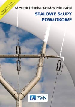 Stalowe słupy powłokowe - Sławomir Labocha